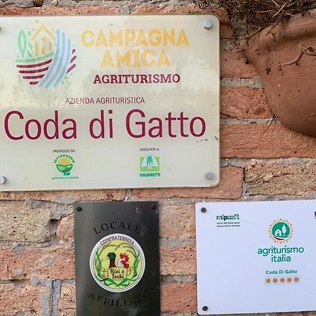Agriturismo Coda Di Gatto Eraclea Exteriér fotografie